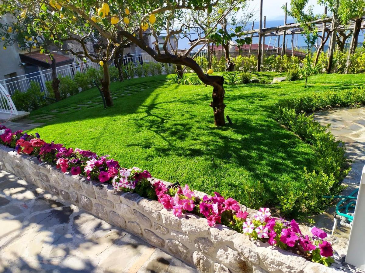 Villa Il Sogno Di Lina Sorrento Coast Capri View Massa Lubrense Exterior foto